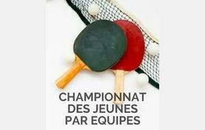 Championnat des jeunes par équipes